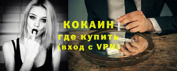 твердый Богданович