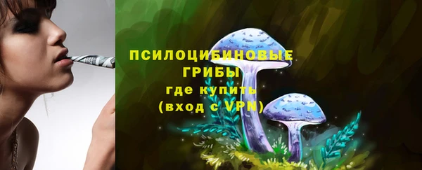 первитин Пестово