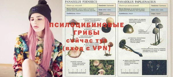 MDMA Premium VHQ Протвино