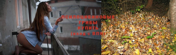 твердый Белокуриха