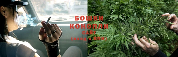 твердый Белокуриха