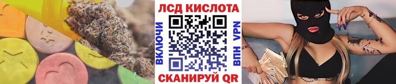 купить наркотики сайты  Электрогорск  ЛСД экстази ecstasy 