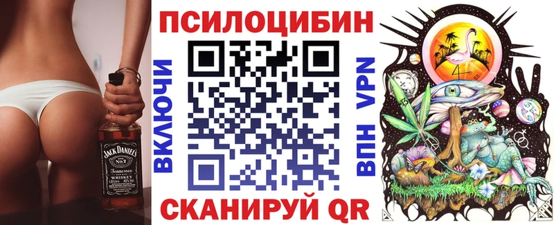Псилоцибиновые грибы мицелий  где найти   Электрогорск 